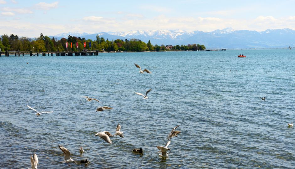 Lake Constance - Walk Beside Me
